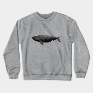 Northern right whale Crewneck Sweatshirt